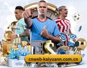 cnweb-kaiyuann.com.cn APP 深度功能